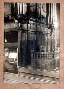 Unidentified Organ